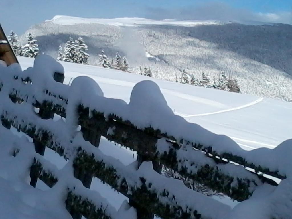 Garni Kostner Hotel Ortisei Exterior foto